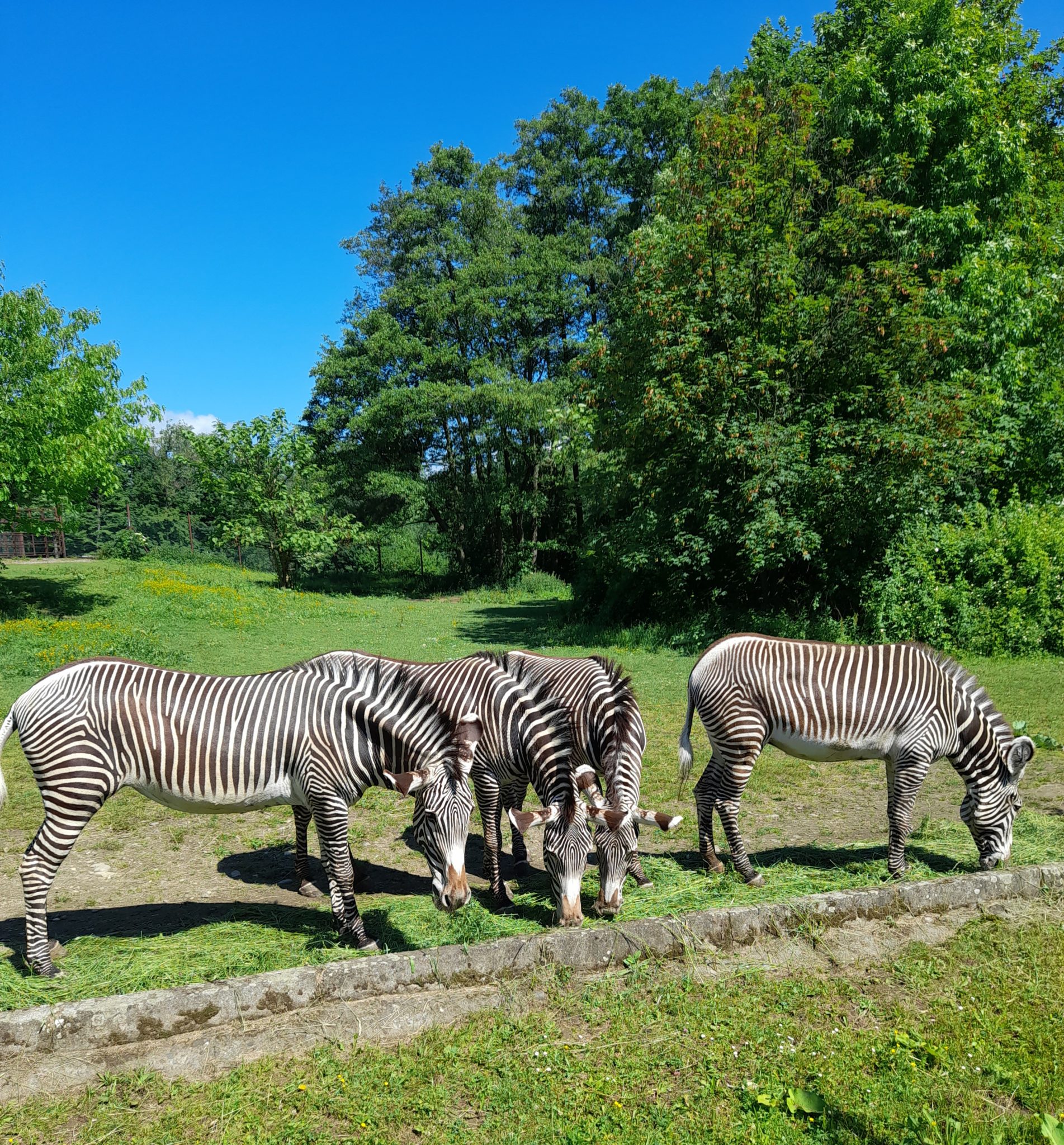ZOO OSTRAVA